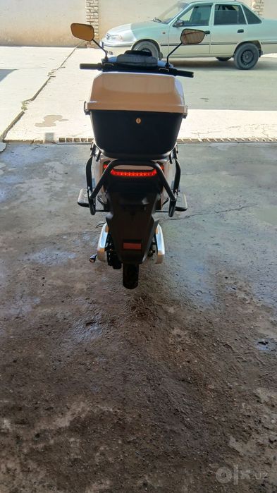 Skutir xolati ideal