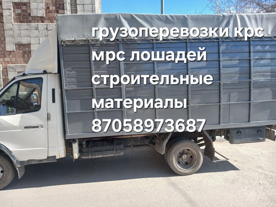 Грузоперевозки скотовоз