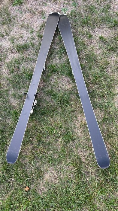 Schiuri Salamon BBR limelite