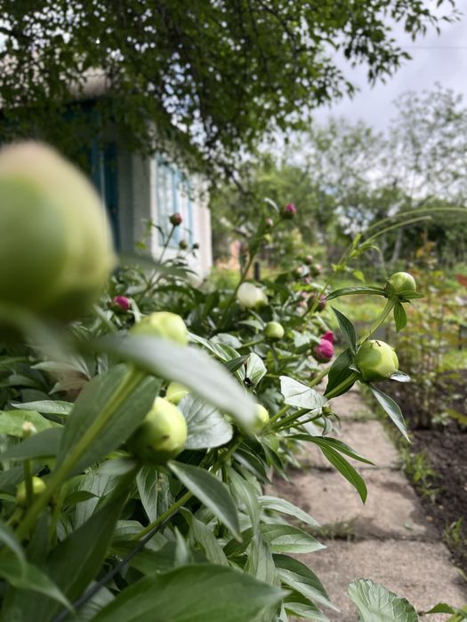 Продам дачу. Обогатитель 4 улица, дом 2.