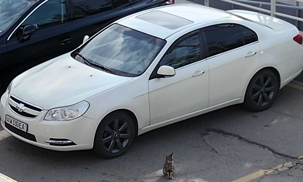 Эпика 2009 года,своя