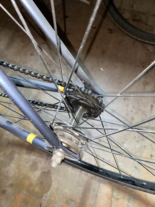 Fixed gear bearbike