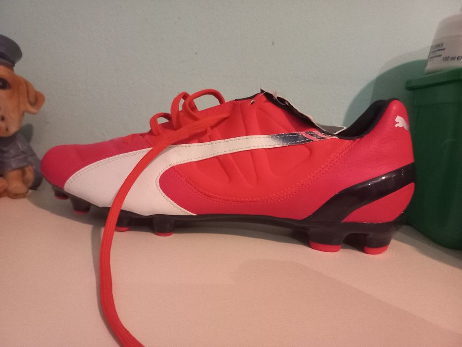 Ghete Puma evospeed roz