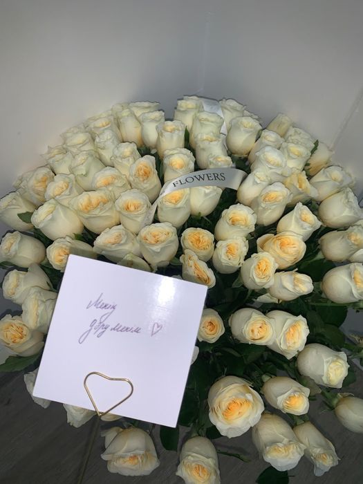 51 белые розы новый