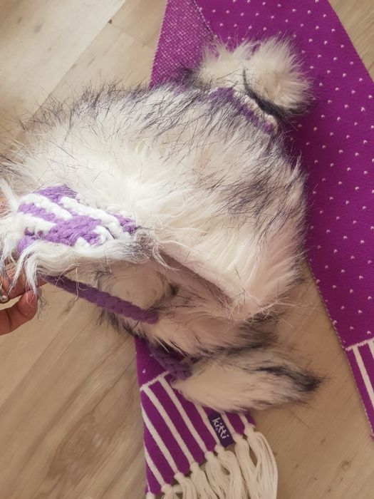 Зимна шапка+шал Kitty