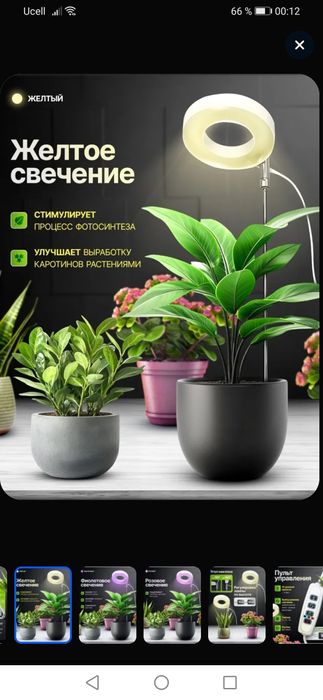 Фито лампа для растений