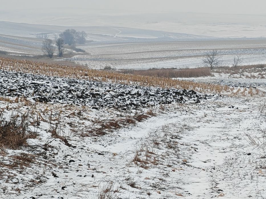 De vânzare teren extravilan în Liteni-Moara