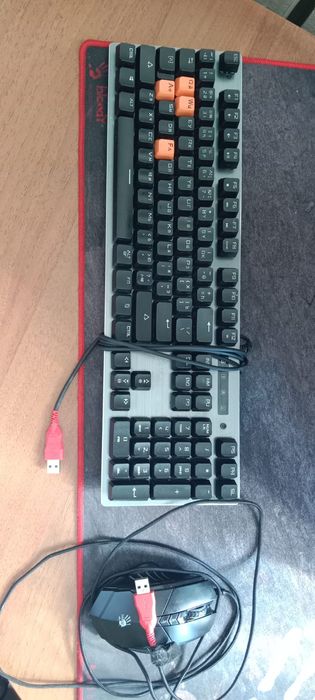 Клавиатура,  компьютерная мышка