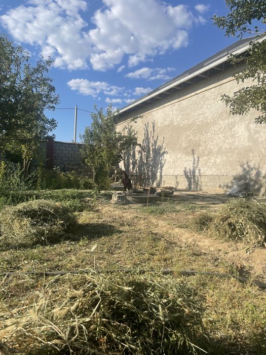 Daken koraz mekenimen birge