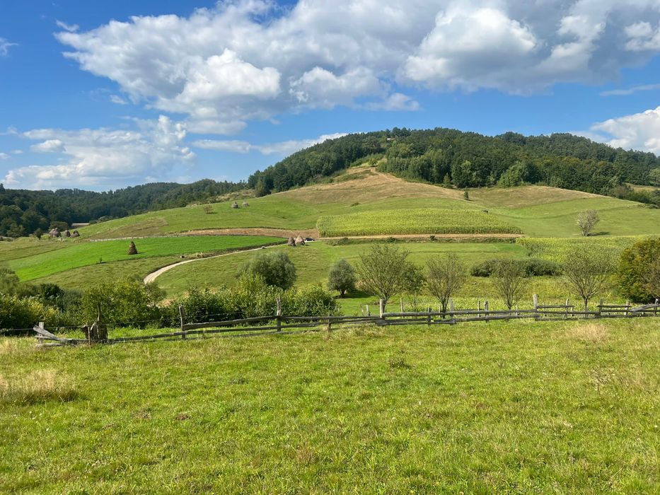 Teren de vanzare exatravilan