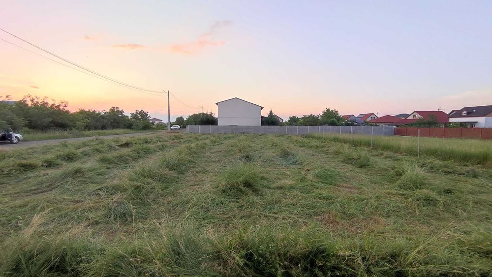 Tai , Tund Iarbă  Defrișări – intervenții rapide/servicii profesionale