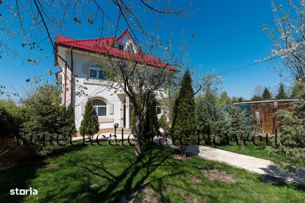 O Poveste de Vis pe Malul Lacului Snagov