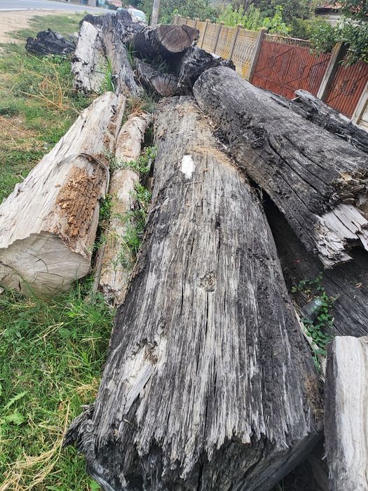 Vând lemne esența tare