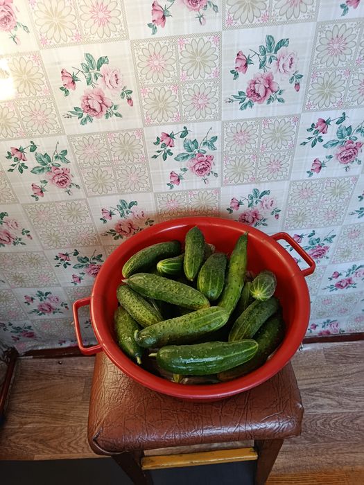 Продам огурцы домашние
