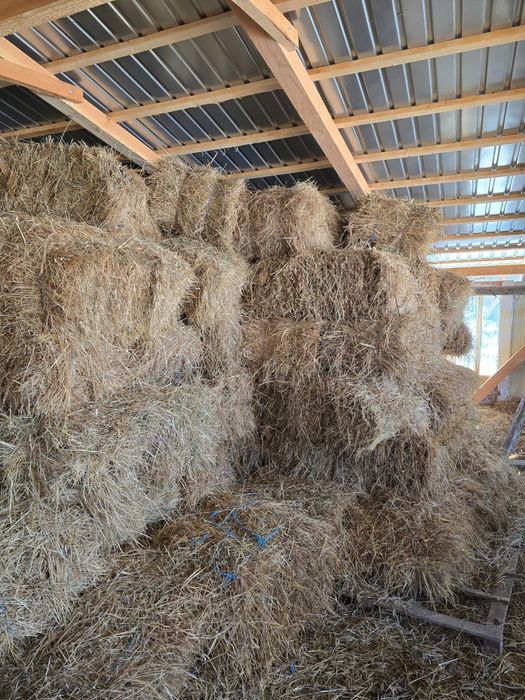 Baloti fan dreptunghiulari coasa 2025neplouati ofer transport