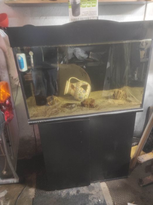 Продам аквариум срочно