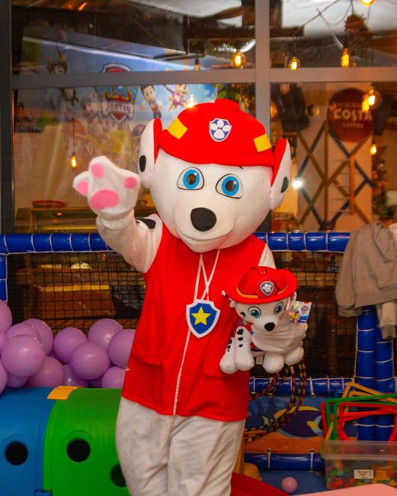 Аниматор, Арка балони, Костюми на герои, Машина за балончета, Фотограф