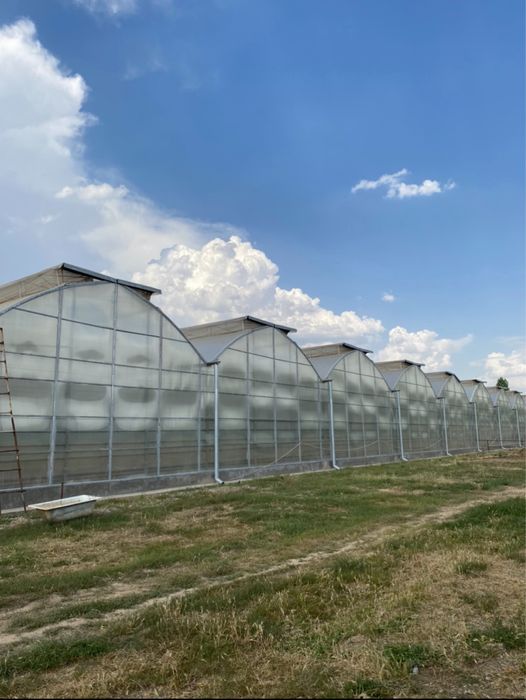 Срочно Продаётся Готовый Бизнес