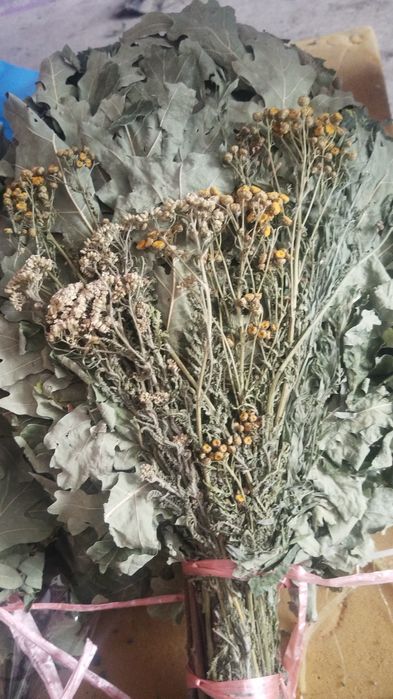 Веники и лечебные травы