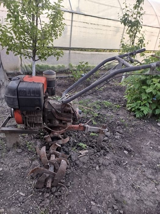 Motosapă  pe motorină