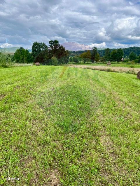 Teren 1,884mp Berbesti / Drumul secundar