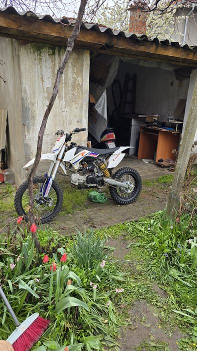 Bastos    mxf   125