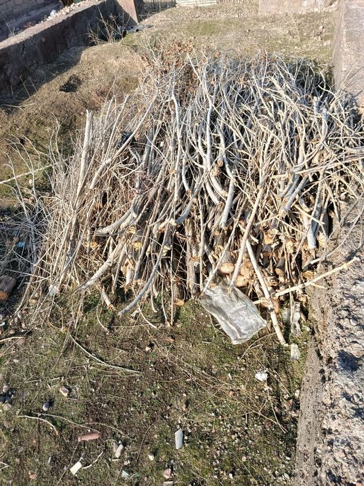 Тераклар ва утинлар сотилади.
Шахсий ховлида турибди.