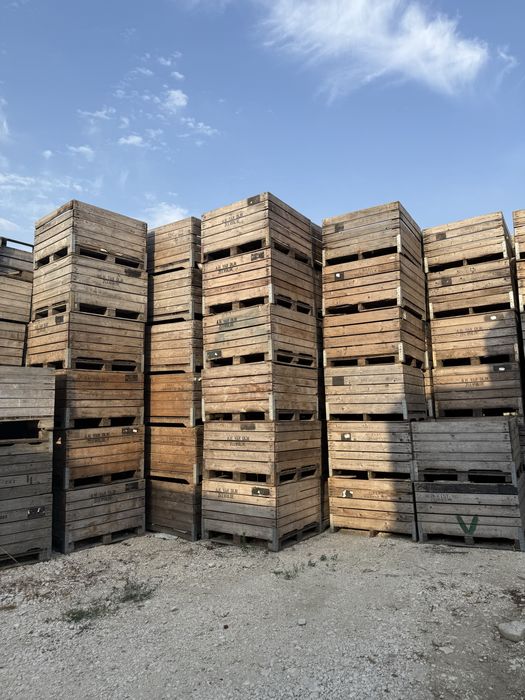 Boxpaleti , containere fructe , lazi lemn