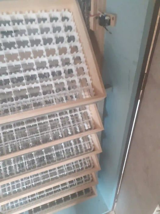 Inkubator sotiladi holati yangi narxi 6 mln kelishiladi