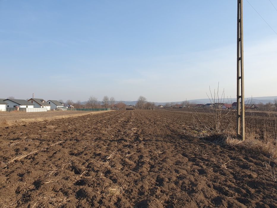 Teren intravilan Holboca 1624mp