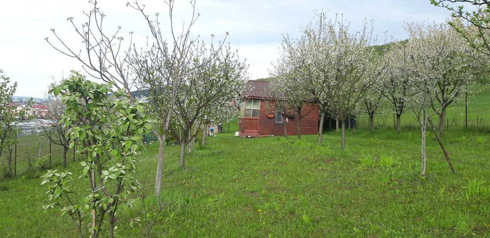 vand teren  intravilan  in centrul loc. Floresti