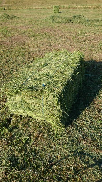 Vand baloti de fan, lucerna si otava