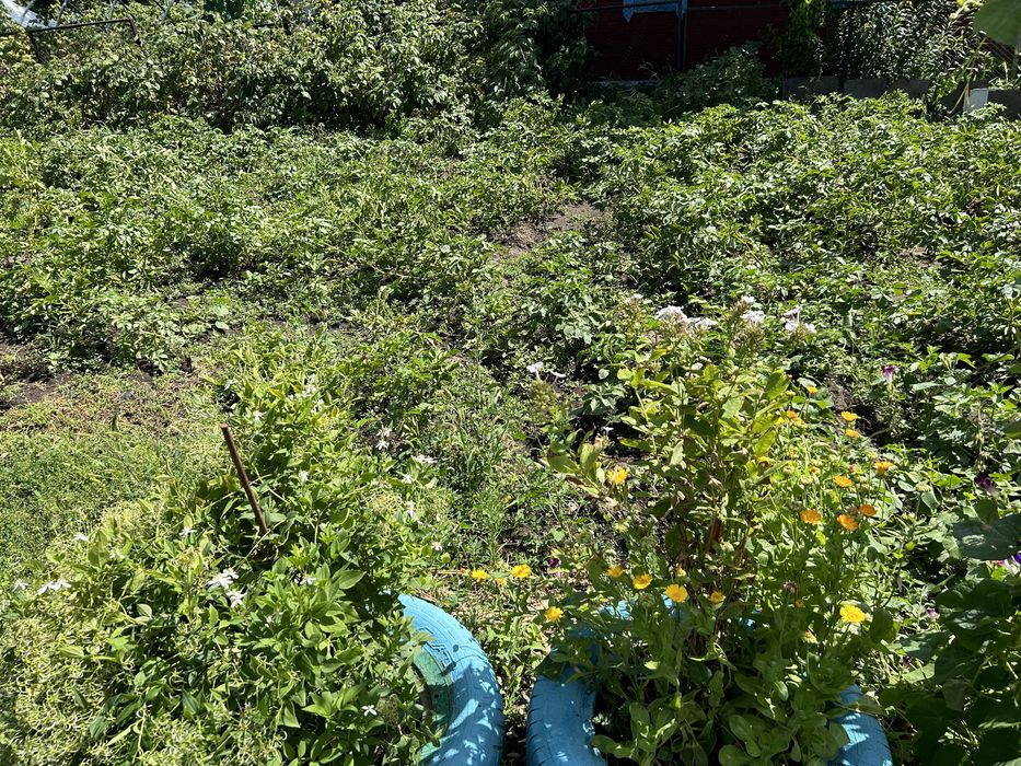 Продам дачу зимный вариянть