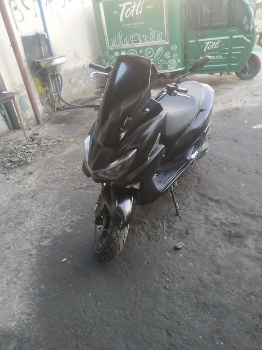 Sukutor sotiladi