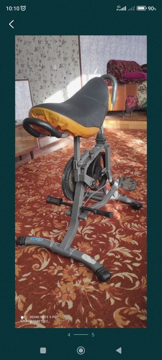 тренажёр(лошадь кокпар)