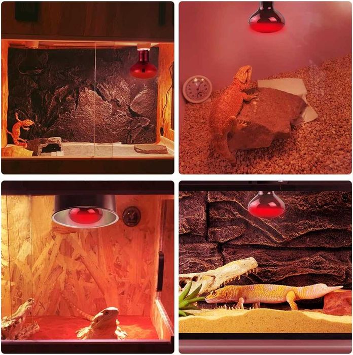 Инфрачервени нагревателни крушки за терариум 50W – комплект 2 броя