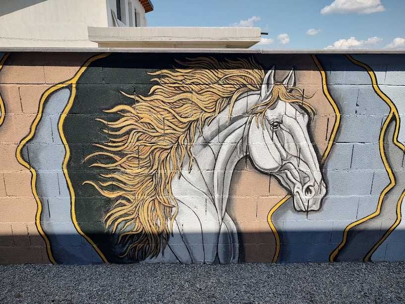 Художествено Рисуване на Стени - Интериор и Фасади (Над 20 г. опит)