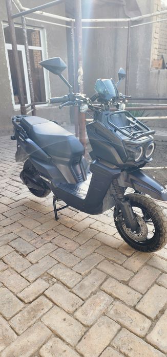 Wassat sport tank electro