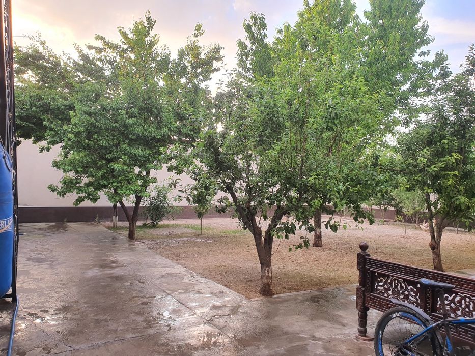 Nazarbek da uchaska sotiladi