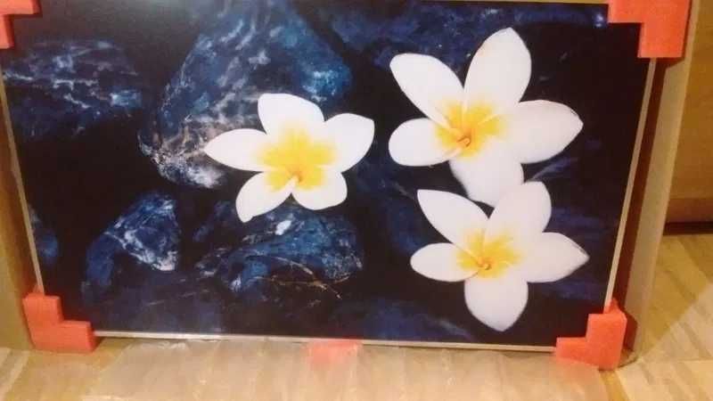 Инфрачервен отоплителен панел с картина - 600W