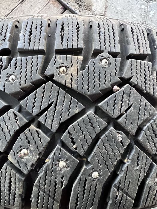 Шина зимняя 1 балон