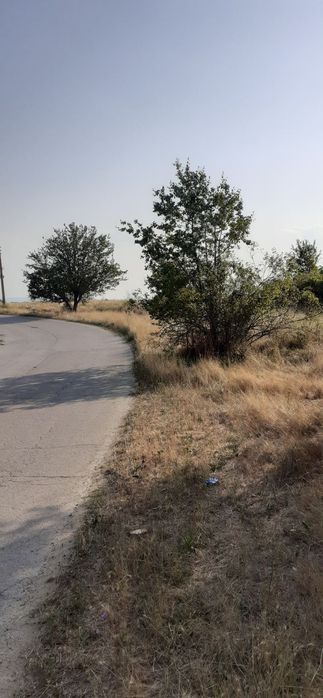 Продава се Парцел в с. Изворско, Област Варна - 4500 кв.м за 29 €/кв.м - Снимка #5