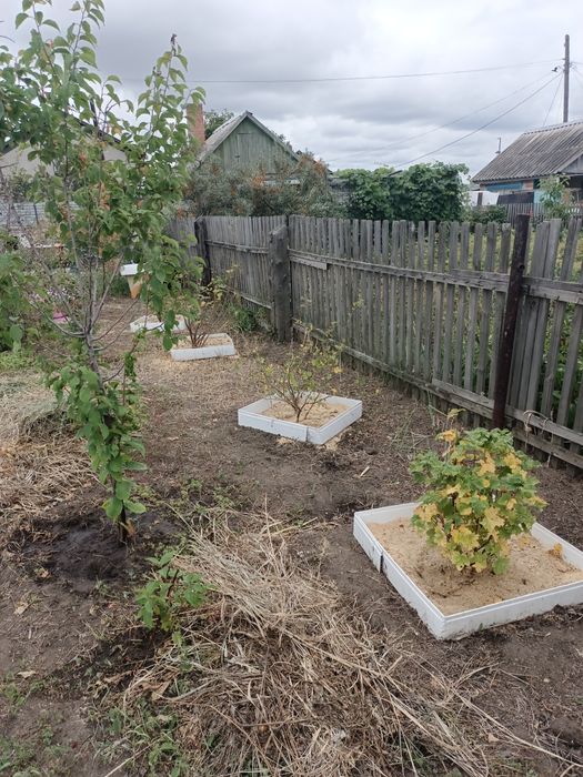 Продам дачу ОО Энергетик