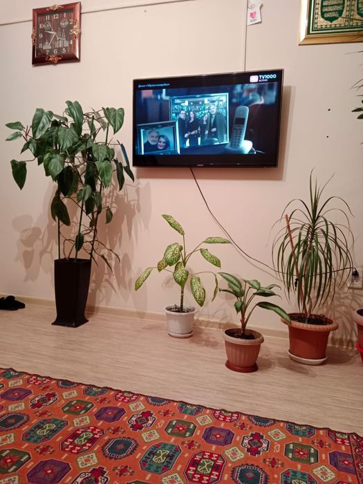 Цветы разные все