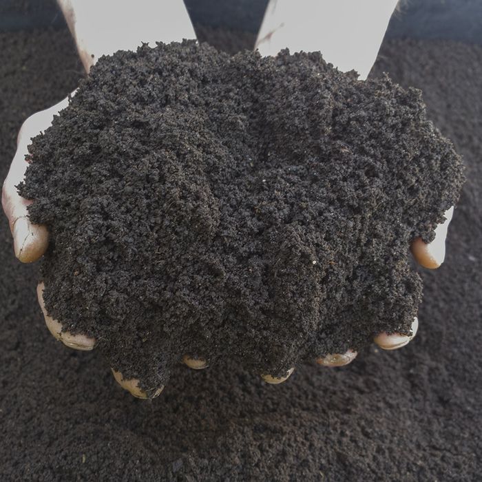 Kaliforniya chuvalchangi va biogomusi sotiladi