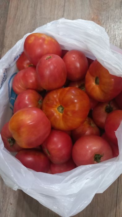 Помидоры вкусные