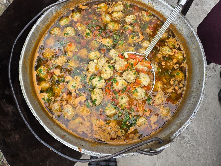 Dani,Protap,Rotisor.