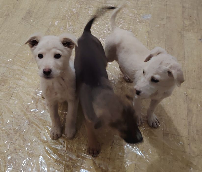 Малыши ждут своих родителей