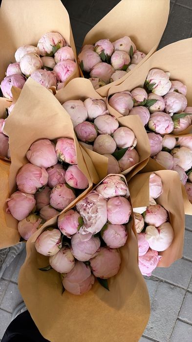 Пионы ароматные Сара бернар