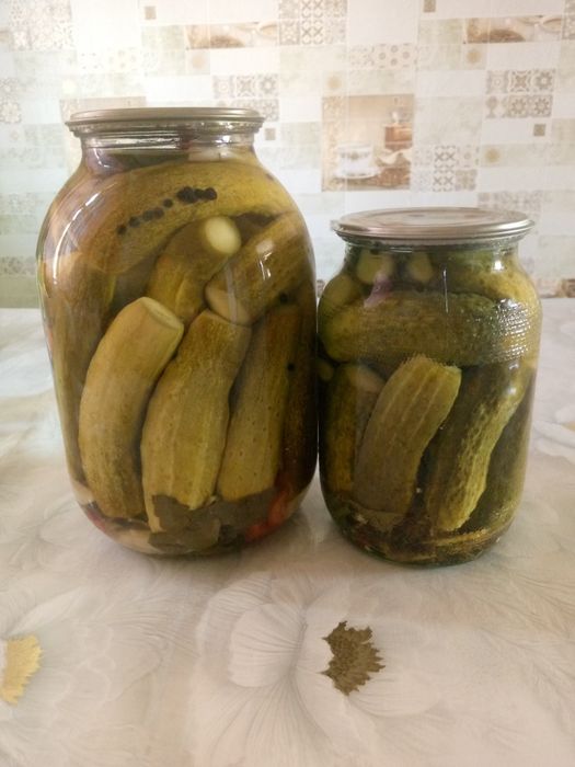 Домашние маринованные огурцы